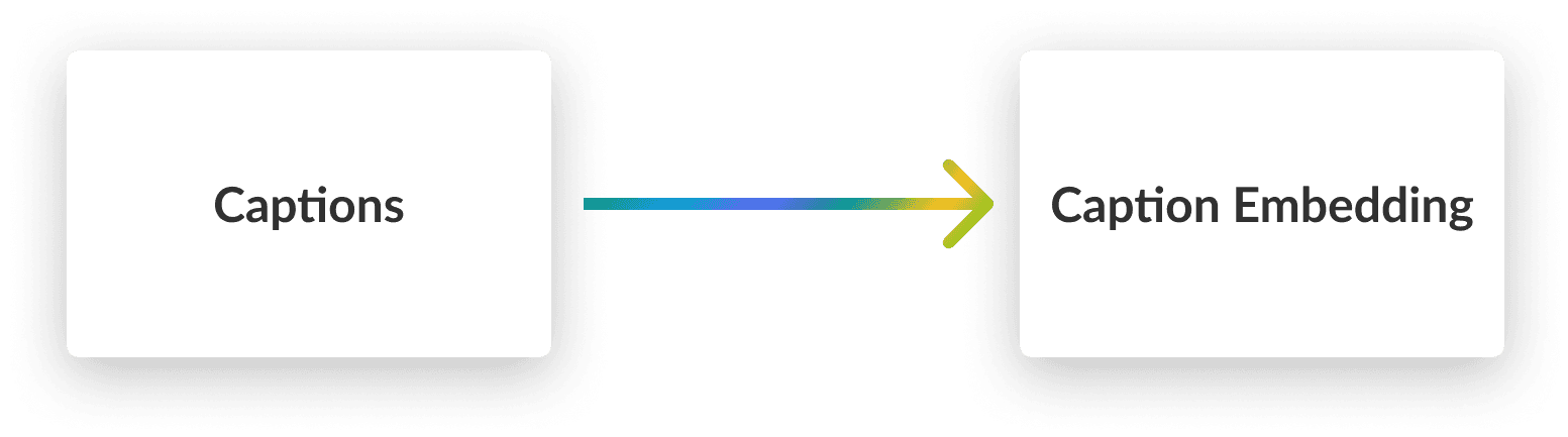 Human Generated Captions